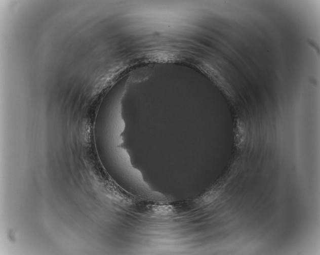 X0000101980355200807251239