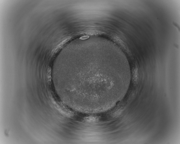 X0000101980356200807251239