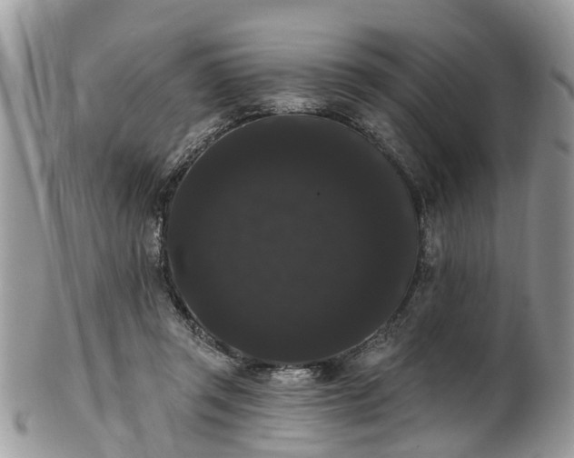 X0000101980357200807251239