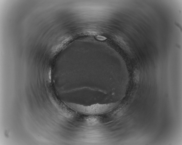 X0000101980358200807251239