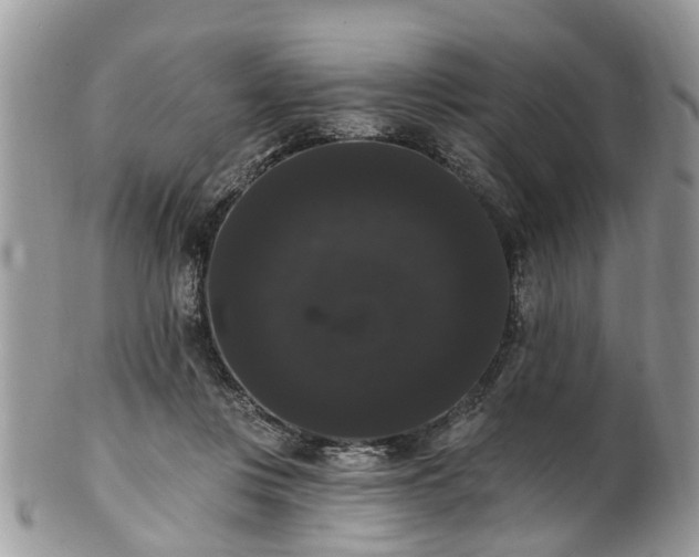 X0000101980359200807251239