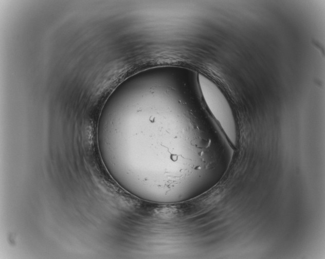 X0000101980362200807251239