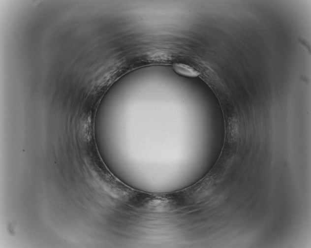 X0000101980364200807251239