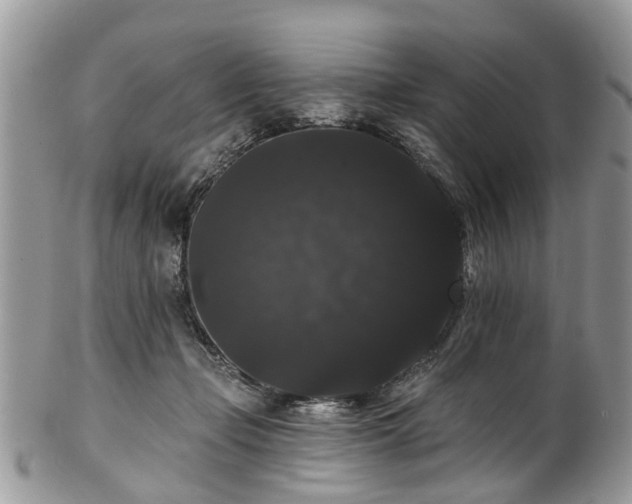 X0000101980365200807251239