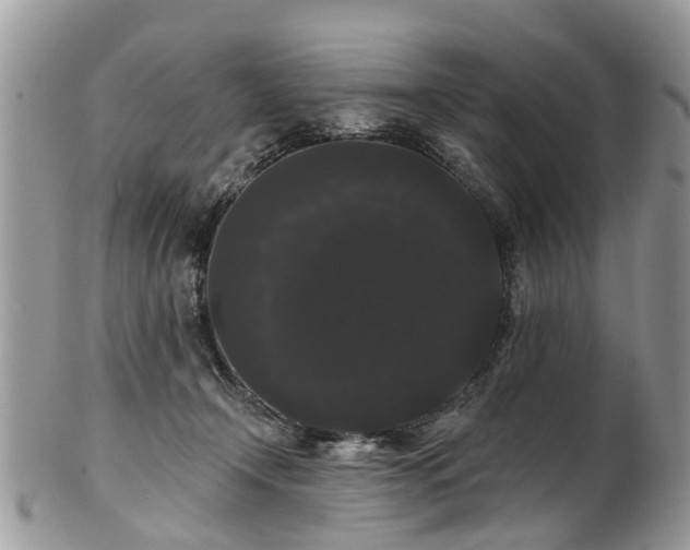 X0000101980366200807251239