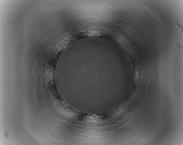 X0000101980367200807251239