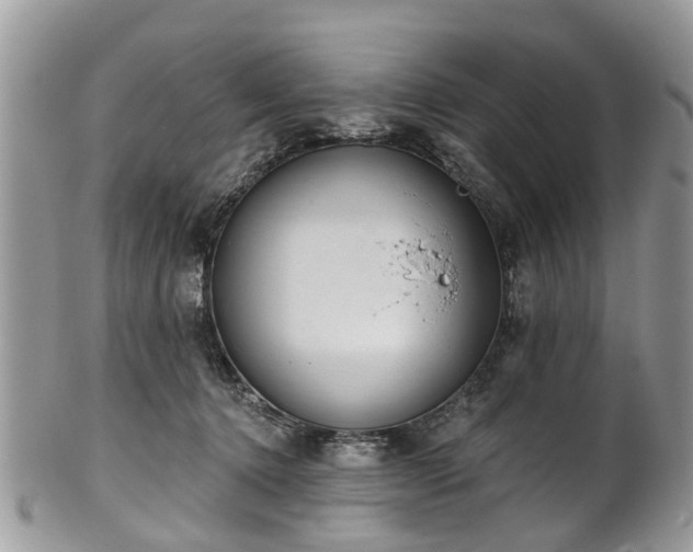 X0000101980368200807251239