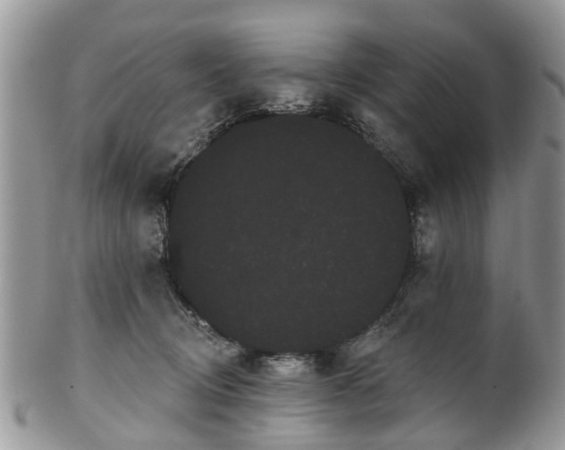 X0000101980370200807251239