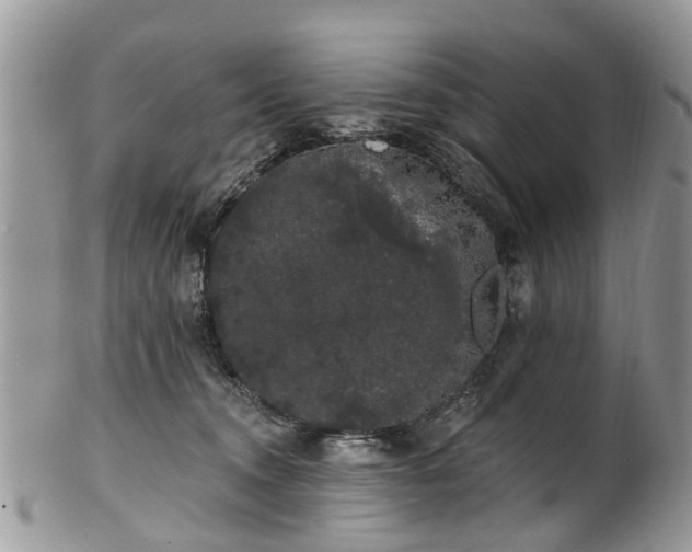 X0000101980372200807251239