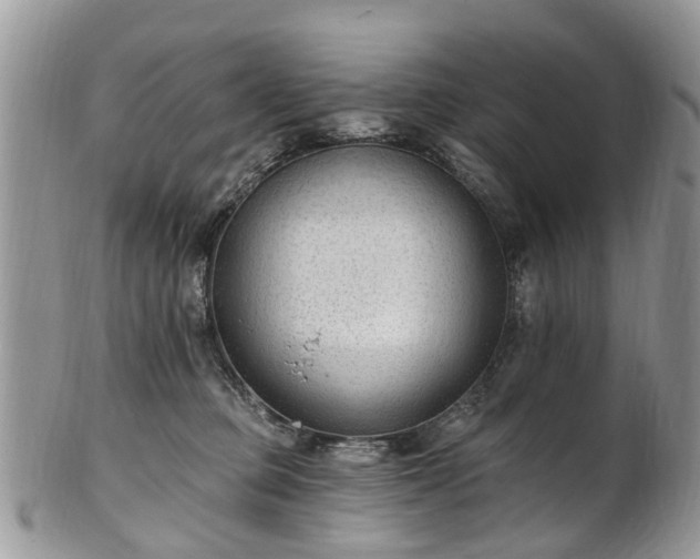 X0000101980373200807251239