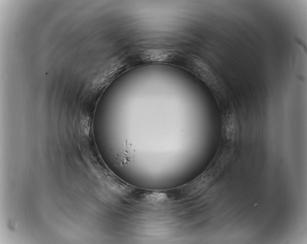 X0000101980374200807251239