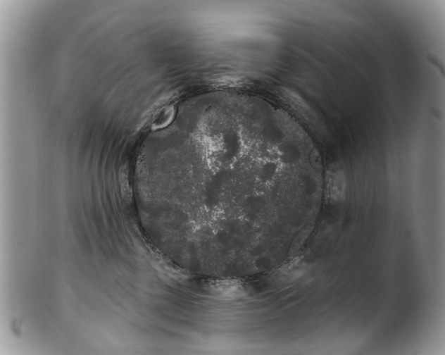 X0000101980377200807251239