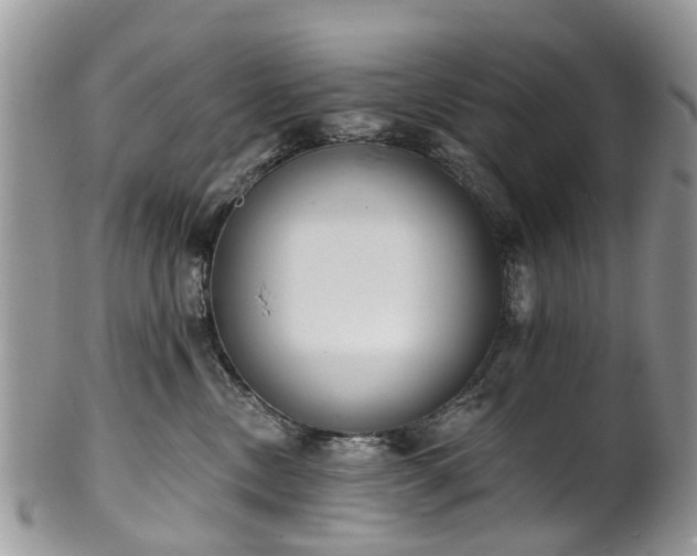 X0000101980378200807251239