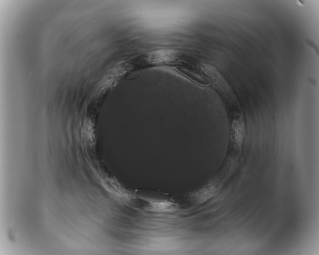 X0000101980380200807251239