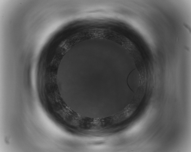 X0000101980383200807251239