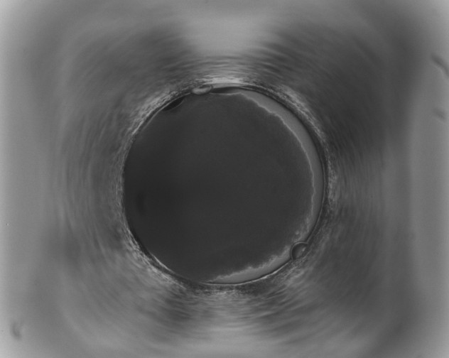 X0000101980385200807251238