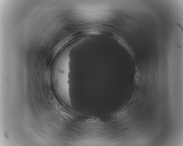 X0000101980386200807251238