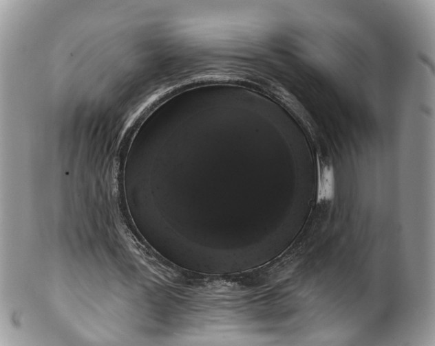 X0000101980387200807251238