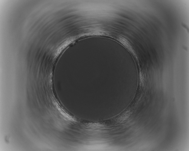 X0000101980389200807251238