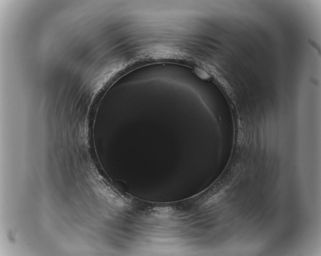 X0000101980391200807251238