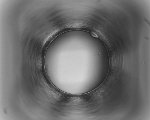 X0000101980392200807251238