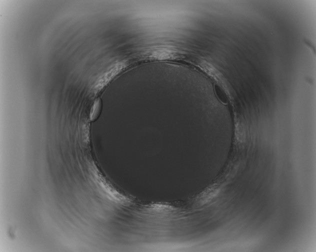 X0000101980393200807251238