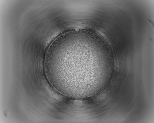 X0000101980394200807251238