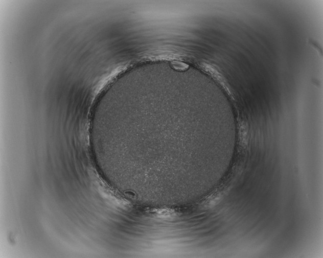 X0000101980395200807251238