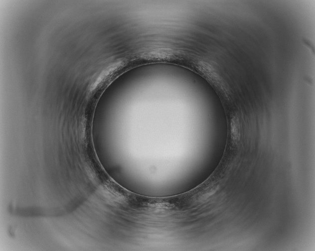 X0000101980396200807251238