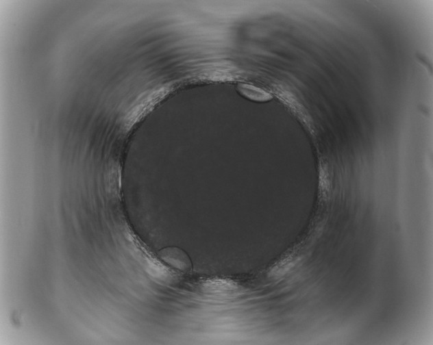 X0000101980397200807251238