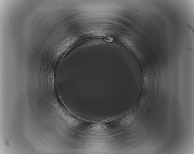 X0000101980398200807251238