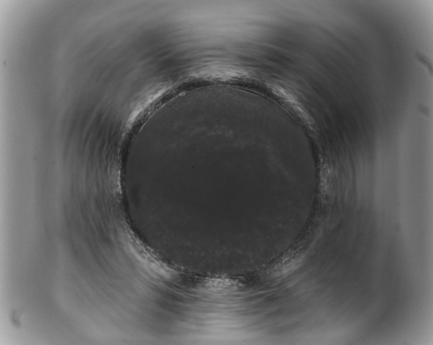 X0000101980399200807251238