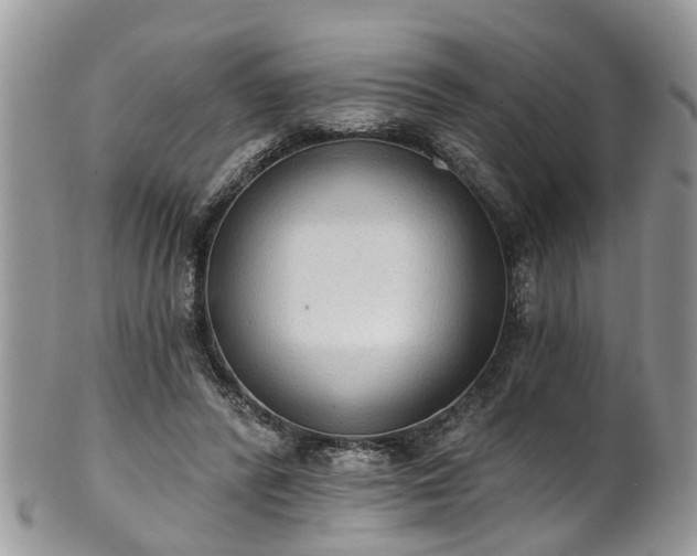 X0000101980400200807251238