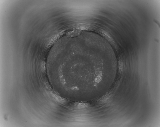 X0000101980401200807251238