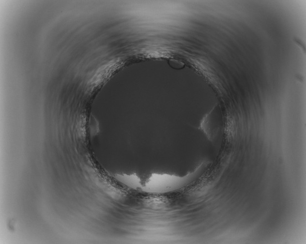 X0000101980402200807251238