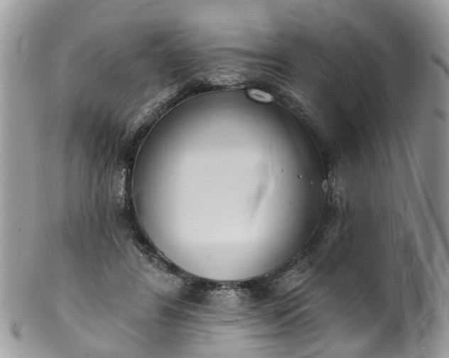 X0000101980404200807251238