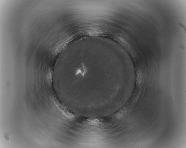 X0000101980405200807251238