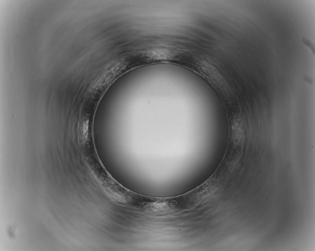 X0000101980406200807251238