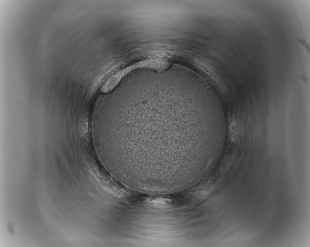 X0000101980407200807251238