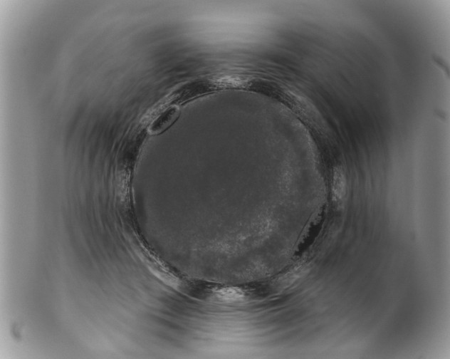 X0000101980409200807251238