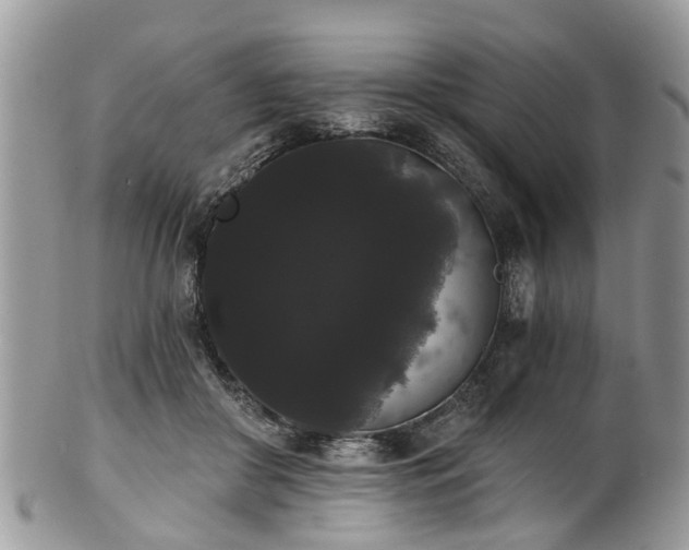 X0000101980410200807251238