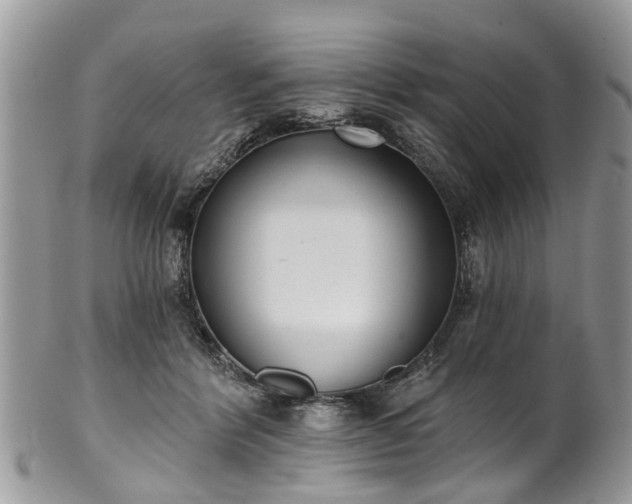 X0000101980412200807251238