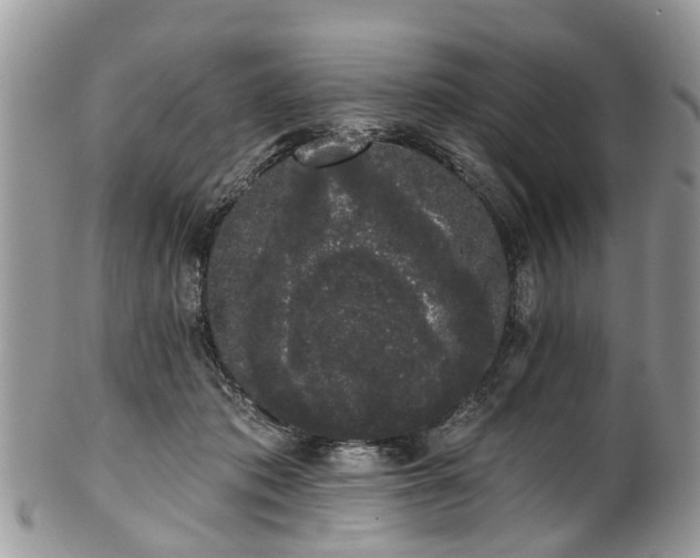 X0000101980413200807251238