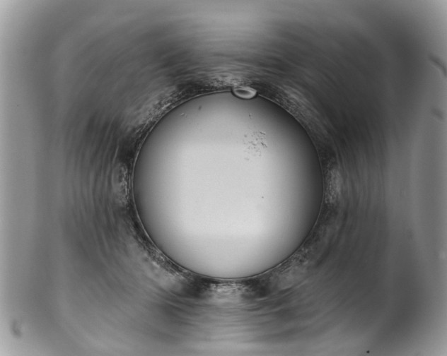 X0000101980414200807251238