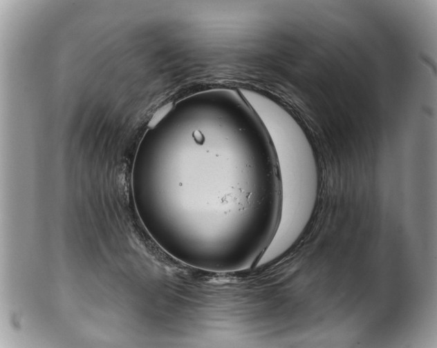 X0000101980415200807251238