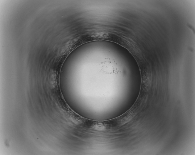 X0000101980416200807251238