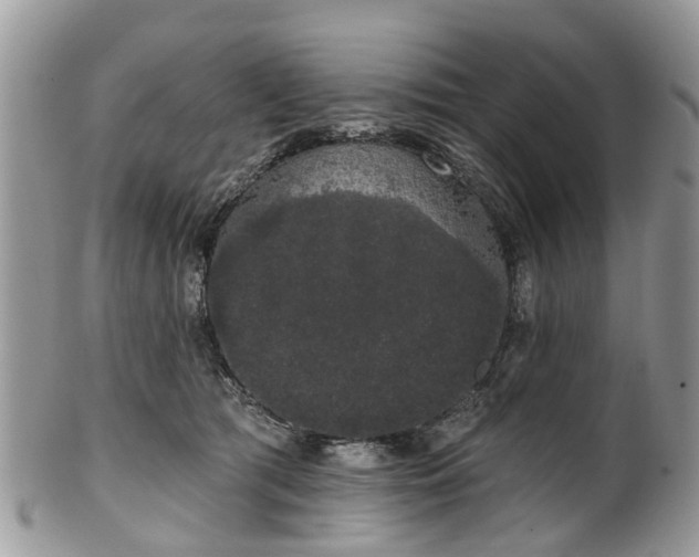 X0000101980417200807251238