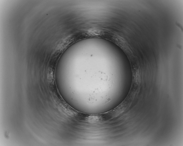 X0000101980418200807251238