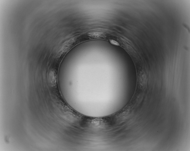 X0000101980420200807251238