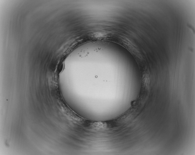 X0000101980421200807251238